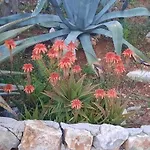 Holiday home Al Ficodindia *