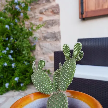 Holiday home Al Ficodindia