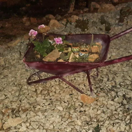 Al Ficodindia * Scopello (Sicily)